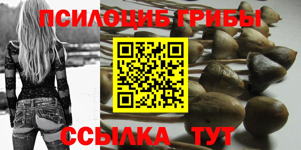 Галлюциногенные грибы GOLDEN TEACHER Реутов