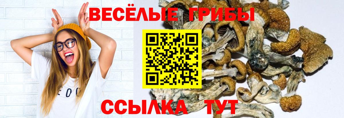 Галлюциногенные грибы мицелий  Вход с VPN  Реутов 