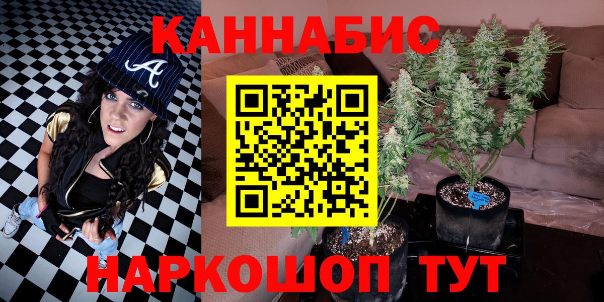 Бошки марихуана OG Kush Реутов